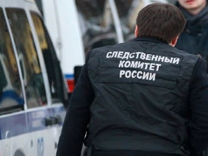Новосибирские следователи завели уголовное дело из-за смертельного случая в детсаду