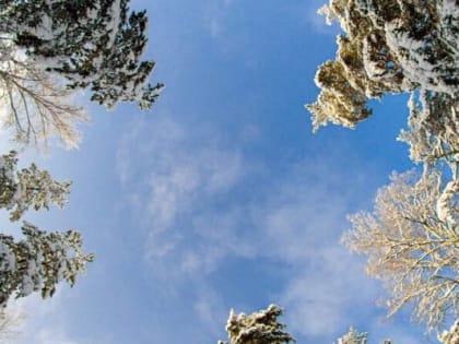 В Приморье наблюдается неравномерное распределение осадков