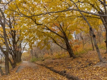 Погода в Приморье: осадки не ожидаются на выходных