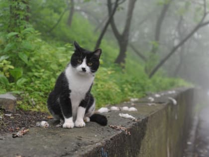 Дожди продолжаются в Приморье