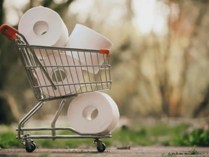 Евросоюз планирует отказаться от туалетной бумаги... из России