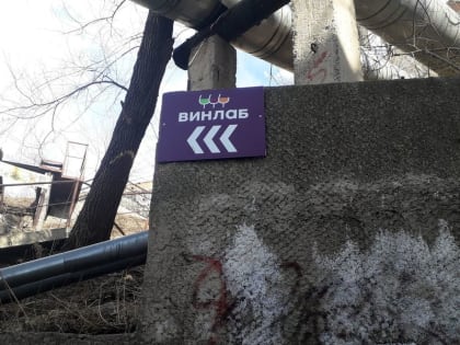 В Приморье антимонопольная служба завела дело на «Винлаб»