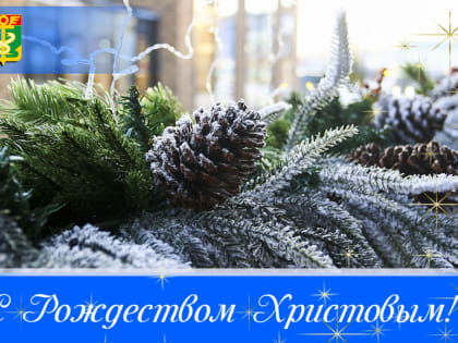 Уважаемые находкинцы! Дорогие друзья! Поздравляю всех православных христиан с Рождеством Христовым и выражаю самые искренние пожелания в этот особенный и светлый день!
