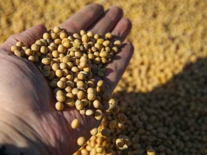 Приморские сельхозпроизводители готовятся к весенней посевной