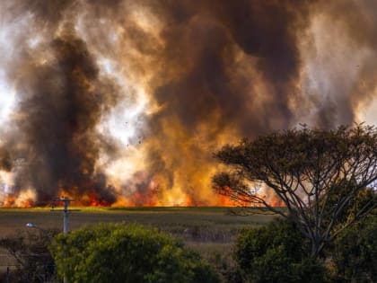 «Настоящая жесть начнется с 30 июля». Синоптики сказали, что надвигается