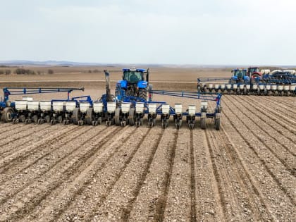 Аграрии Приморья выполнили план по кукурузе и ранним зерновым