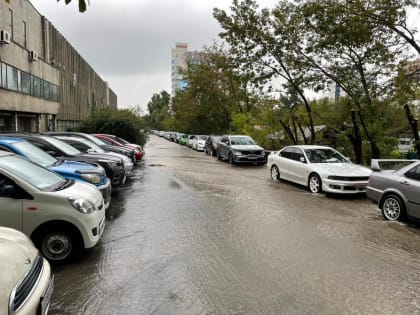 Приморцев предупреждают о необходимости безопасного скоростного режима в непогоду