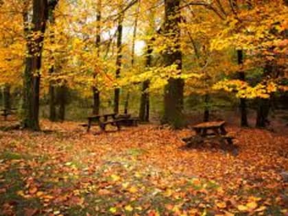 Погода в Приморье на выходные: ожидается потепление и слабый ветер