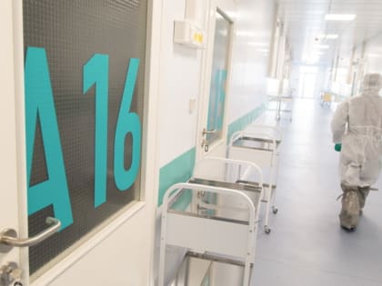 Добрался ли новый штамм COVID-19 «кентавр» до Владивостока?