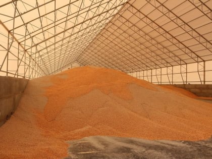 Недружественная Южная Корея значительно нарастила поставки кукурузы из Приморья