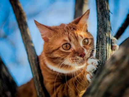 «Ура, на шашлыки». Приморцы передохнут от непогоды