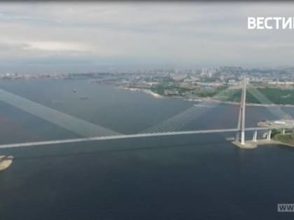 САР в Приморье позволил вернуть в Россию активы более 100 компаний