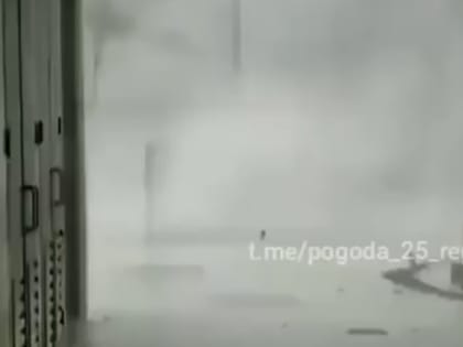 Страшный тайфун сносит деревья и затапливает города по соседству с Приморьем — видео