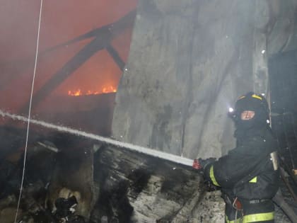 «Полыхало на всю округу». Пожар случился в Приморском крае