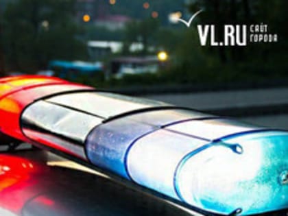 Жительницу Владивостока задержали за истязание 10-летнего сына и метание в него ножом