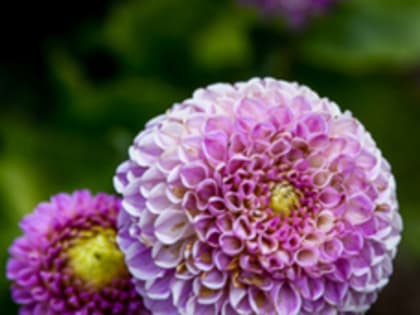 Сегодня во Владивостоке до +27 °С, вечером возможен дождь