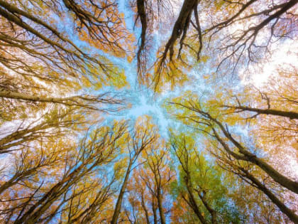 «Ноябрь будет бешеным». Синоптики неожиданно изменили прогноз