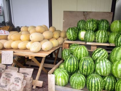 Гельминтов в свежем арбузе нашли в Приморье