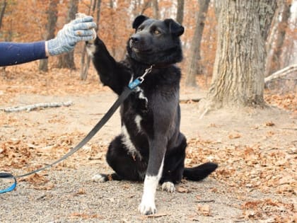 Приморцы могут провести выходные с «Умкой»