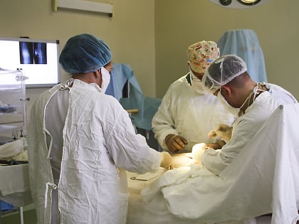 Находкинские врачи спасли ребенка с обширной раной лица после ДТП