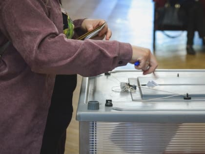 Явка — 36% — Избирком Приморья подвёл промежуточные итоги голосования на выборах