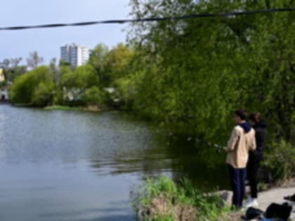 Почему на Чане умирает рыба: кто и как ставит диагноз озеру во Владивостоке (ФОТО; ВИДЕО)