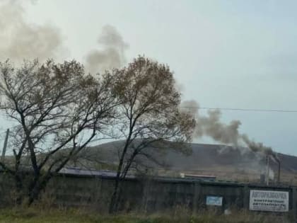 «Вонь на весь район! Глаза режет!»: многодетные семьи из Приморья жалуются на загрязнение воздуха