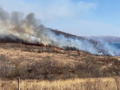 Превышение норм загрязнения воздуха во Владивостоке не зарегистрировано