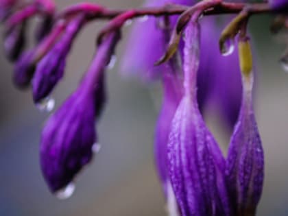 Сегодня во Владивостоке опять возможен дождь