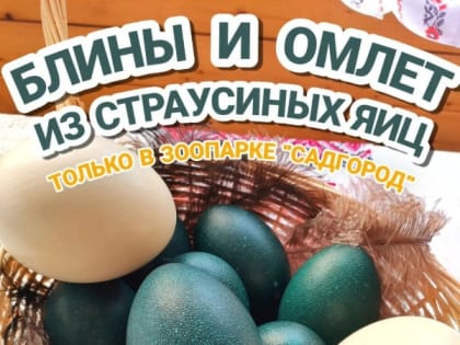 Блюда из страусиных яиц предложили попробовать приморцам с 20 по 26 февраля