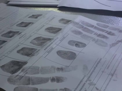 В Приморье будут судить лже-поставщика пиломатериалов. Ему грозит до 10 лет тюрьмы