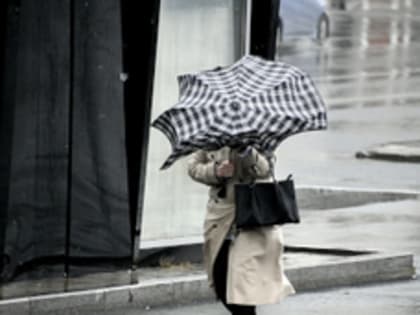 Погода во Владивостоке: дождь и сильный ветер