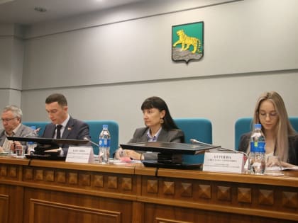 Состоялись публичные слушания по внесению изменений в Устав Владивостока
