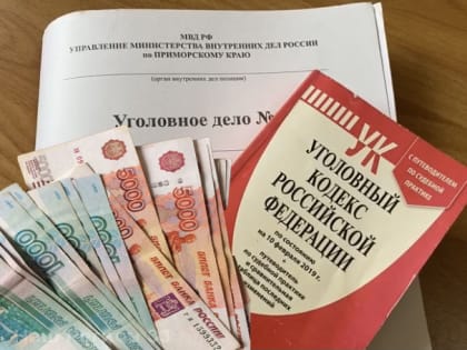 «Уголовка» на 637 томов: финансовую пирамиду прикрыли в России