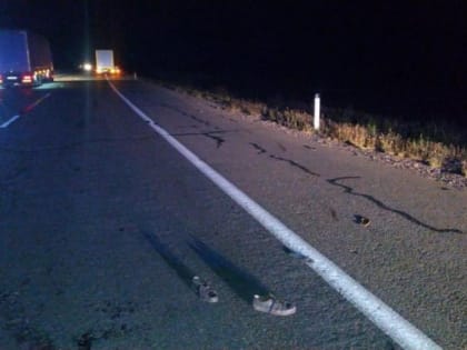 Нарушение ПДД стало причиной трагедии в Приморье