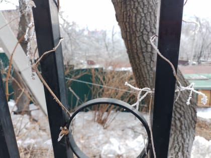 «Яндекс.Погода» прогнозирует потепление до +4 во Владивостоке