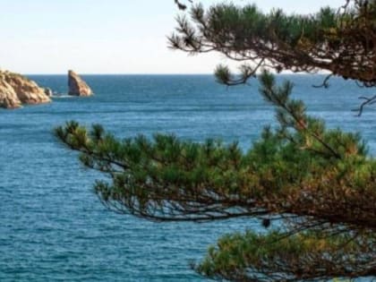 Теплый август: рекорды температуры в городе