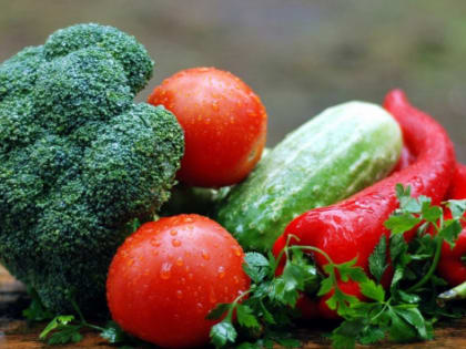 В Приморье построили оптово-распределительный центр сельхозпродукции