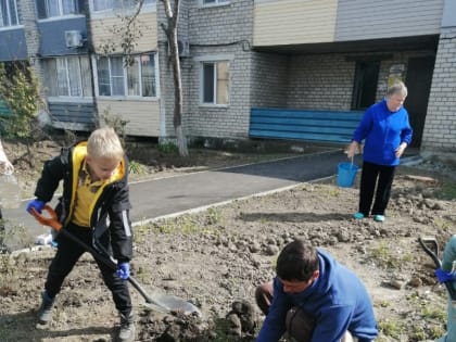 Дворы в Артеме озеленяют