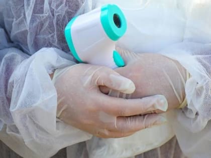 В Приморье не обнаружено РНК вируса гриппа