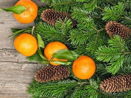 Праздник, стой!