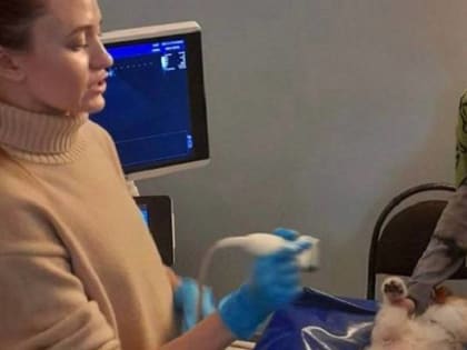 Приморские школьники попробовали себя в роли ветеринаров