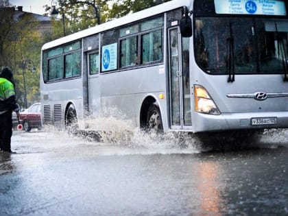 +30 °C и дожди: синоптики рассказали о погоде на сегодня в Приморье