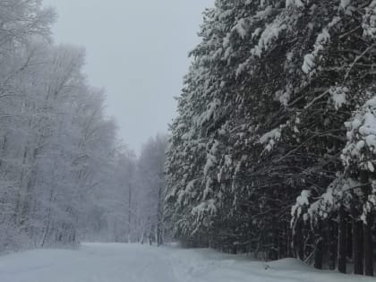 В крае ожидается аномально холодная погода