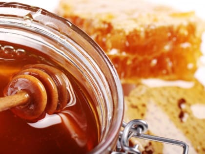 Следы лекарственных препаратов выявили в партии меда в Приморье