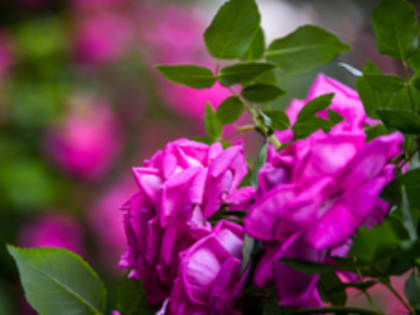 Сегодня во Владивостоке до +23