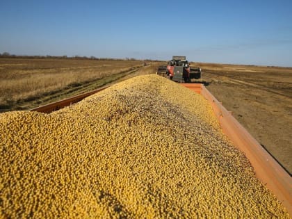 В Приморье повысилась средняя урожайность сои, овощных культур и картофеля