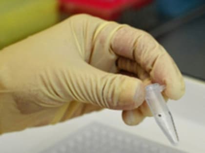 Ещё 175 приморцев сняли с себя присосавшихся клещей