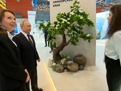 Владимир Путин посетил павильон Приморья на выставке «Россия»