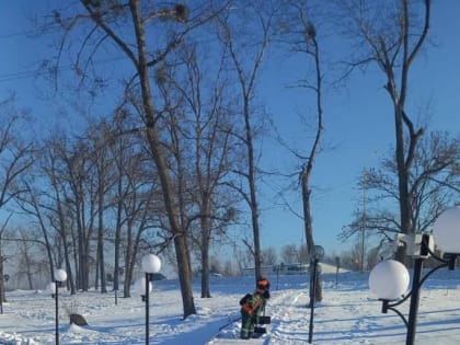 Снегоуборочные работы в Артеме продолжают вести коммунальные службы